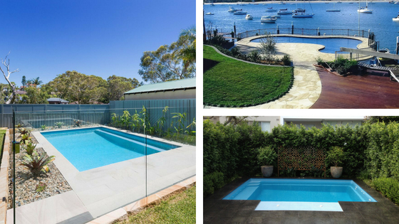 What To Plant Around A Pool South Coast Landscapes - Potted Plants Around Pool Australia